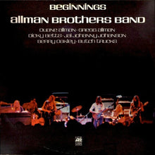 Load image into Gallery viewer, The Allman Brothers Band : Beginnings (2xLP, Comp, Gat)