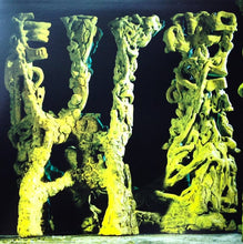 Load image into Gallery viewer, King Gizzard And The Lizard Wizard : L.W. (Explorations Into Microtonal Tuning Volume 3) (LP, Album, Rec)