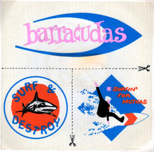 Load image into Gallery viewer, Barracudas : Summer Fun (7", Single)