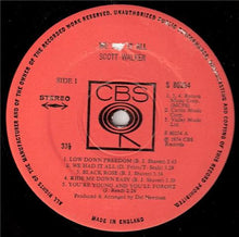 Load image into Gallery viewer, Scott Walker : We Had It All (LP)