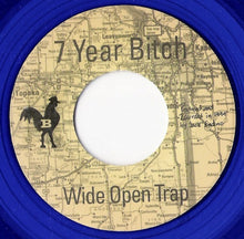 Load image into Gallery viewer, 7 Year Bitch : Rock•A•Bye•Baby (7", Ltd, Blu)