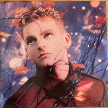 Load image into Gallery viewer, Erasure : Wild! (LP, Album)