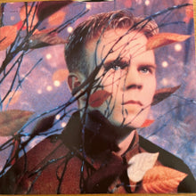 Load image into Gallery viewer, Erasure : Wild! (LP, Album)