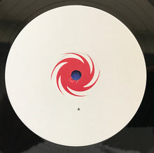 Load image into Gallery viewer, Andain : Beautiful Things (12")