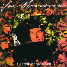 Load image into Gallery viewer, Van Morrison : A Sense Of Wonder (LP, Album)