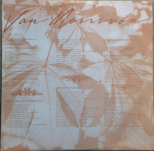 Load image into Gallery viewer, Van Morrison : A Sense Of Wonder (LP, Album)