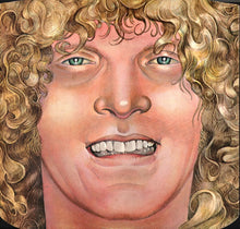 Load image into Gallery viewer, Ian Hunter : All American Alien Boy (LP, Album)