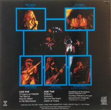 Load image into Gallery viewer, Magnum (3) : Marauder (LP, Album)