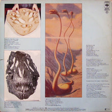 Load image into Gallery viewer, Blue Öyster Cult : Cultösaurus Erectus (LP, Album)
