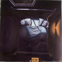 Load image into Gallery viewer, Sunny Day Real Estate : Diary (LP, Album, Blu)