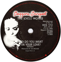 Load image into Gallery viewer, The Icicle Works : Who Do You Want For Your Love? (7", Single)