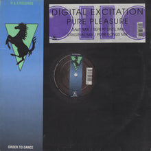 Load image into Gallery viewer, Digital Excitation : Pure Pleasure (12")