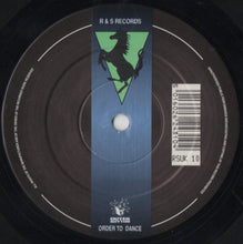 Load image into Gallery viewer, Digital Excitation : Pure Pleasure (12")