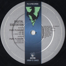 Load image into Gallery viewer, Digital Excitation : Pure Pleasure (12")