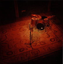 Load image into Gallery viewer, Mavis Staples • Levon Helm : Carry Me Home (CD, Album)