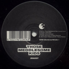 Load image into Gallery viewer, Those Meddlesome Kids : Shaggy / Zoiks (12")