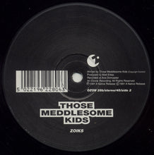 Load image into Gallery viewer, Those Meddlesome Kids : Shaggy / Zoiks (12")