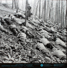 Load image into Gallery viewer, Jack White (2) : Entering Heaven Alive (LP, Album, Ltd, Blu)