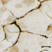 Load image into Gallery viewer, Praxis : Sacrifist (CD, Album)