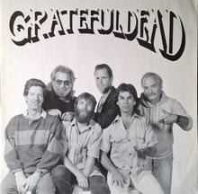 Load image into Gallery viewer, Grateful Dead* : Built To Last (LP, Album)