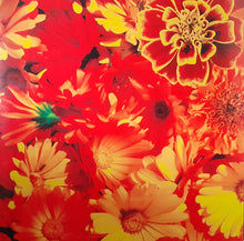 Load image into Gallery viewer, Siouxsie And The Banshees* : All Souls (LP, Comp, 180)