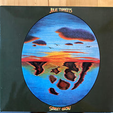 Load image into Gallery viewer, Julie Tippetts : Sunset Glow (CD, Album, RE, RM, Dig)