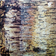 Load image into Gallery viewer, Fable (6) : Fable (LP, Album, Gat)