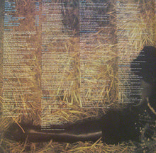 Load image into Gallery viewer, Lesley Duncan : Sing Children Sing (LP, Album, Gat)