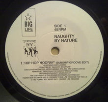 Load image into Gallery viewer, Naughty By Nature : Hip Hop Hooray (7")