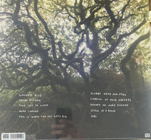 Load image into Gallery viewer, This Is The Kit : Careful Of Your Keepers (LP, Album, Ltd, Gre)