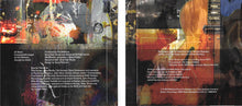 Load image into Gallery viewer, Pat Metheny : Dream Box (CD, Album)