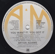 Load image into Gallery viewer, Bryan Adams : You Want It, You Got It (LP, Album)