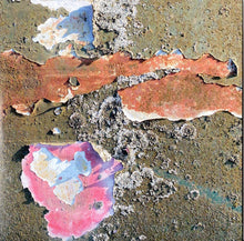 Load image into Gallery viewer, Various : The Endless Coloured Ways (The Songs Of Nick Drake) (2xCD, Album, Comp)
