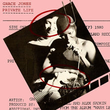 Load image into Gallery viewer, Grace Jones : Private Life (7", Single, Pic)
