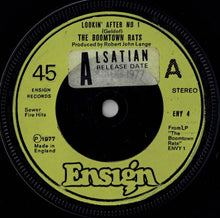 Load image into Gallery viewer, The Boomtown Rats : Lookin' After No. 1 (7", Single, Gre)