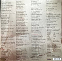 Load image into Gallery viewer, The Undertones : The Sin Of Pride (LP, Album, RE, RM, Plu)