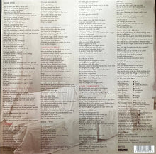 Load image into Gallery viewer, The Undertones : The Sin Of Pride (LP, Album, RE, RM, Plu)