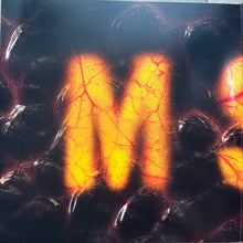 Load image into Gallery viewer, Slipknot : Live At MSG (2xLP, Album)