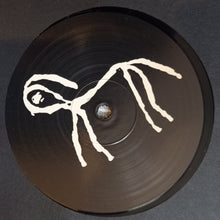 Load image into Gallery viewer, Distorted Pony : Punishment Room (LP, Album)