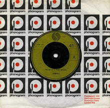Load image into Gallery viewer, Ramones : Sheena Is A Punk Rocker (7", Single)
