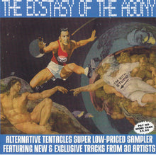 Load image into Gallery viewer, Various : The Ecstasy Of The Agony (CD, Comp, Smplr)