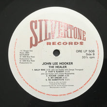 Load image into Gallery viewer, John Lee Hooker : The Healer (LP, Album)