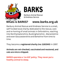 Load image into Gallery viewer, STRUMMERFEST 24 - PET SOUNDS CD (all proceeds to BARKS animal rescue charity)