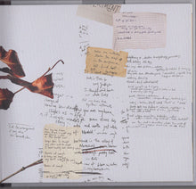 Load image into Gallery viewer, Emily Barker : Fragile As Humans (CD, Album, Dlx)