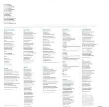 Load image into Gallery viewer, Alison Moyet : Raindancing (LP, Album)