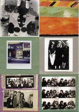 Load image into Gallery viewer, The Raincoats : Odyshape (LP, Album, RE, RM)