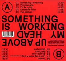 Load image into Gallery viewer, Shovels & Rope* : Something Is Working Up Above My Head (CD, Album)