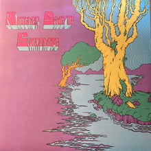 Load image into Gallery viewer, Skinshape : Another Side of Skinshape (LP, Album, Bla)