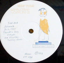 Load image into Gallery viewer, Jeremy Taylor : Jobsworth (LP)