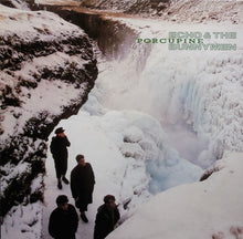 Load image into Gallery viewer, Echo & The Bunnymen : Porcupine (LP, Album)